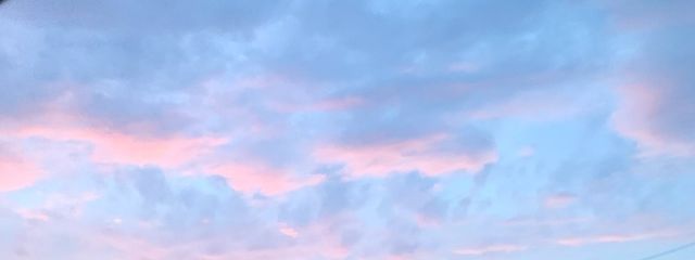 わむさんの壁紙画像