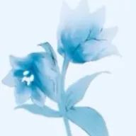 柚さんのアイコン画像