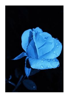 Aとsnの短編集纏め。