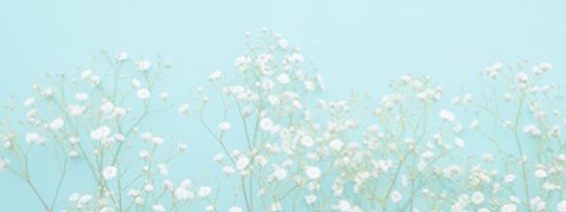 雪 華 *❅·̩͙さんの壁紙画像