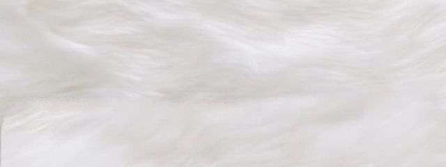 莉桜さんの壁紙画像