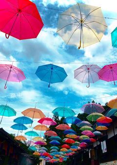 リア友、私のフォロワー様必読