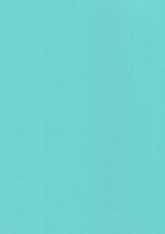 えww？"総統"っすよ？