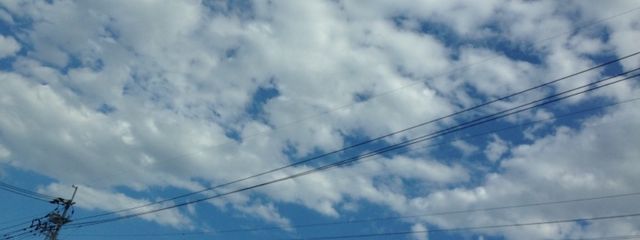 紅葉おろしと柚ポン酢＊さんの壁紙画像