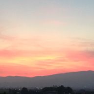 紅葉おろしと柚ポン酢＊さんのアイコン画像