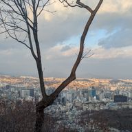 フルーツ飴さんのアイコン画像