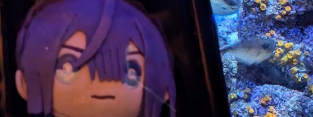 とをん。@海洋生物さんの壁紙画像