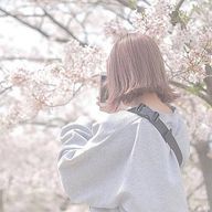 琴音 ໒꒱· ﾟさんのアイコン画像