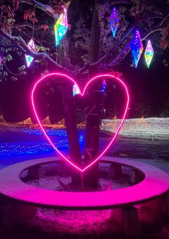 久しぶりの小説！担任の誕生日！今日は、楽しかった！