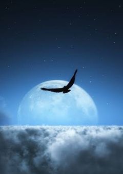 前世では推しが夫だった件について