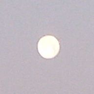 あいす@フォロセ中〜さんのアイコン画像