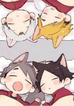 稲荷崎に転校したらあの双子に好かれた件