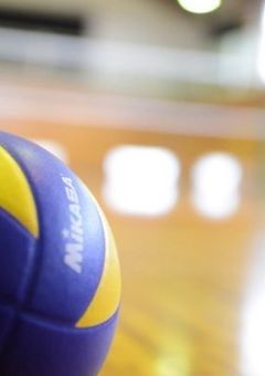 排球部に最強高の狼現れる《参加型》〆