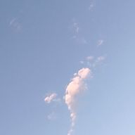 ♾そら🍅🤞さんのアイコン画像