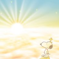 Aさんのアイコン画像