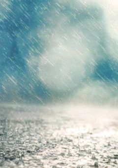 "今日だって雨なの"