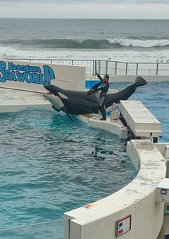 雑談だにょーん(？)