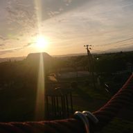 しろねこさんのアイコン画像