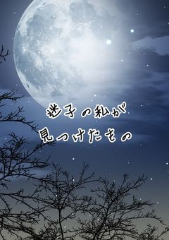 迷子の私が見つけたもの《まいごえん参加型》募集中