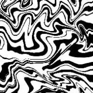 せりなさんのアイコン画像