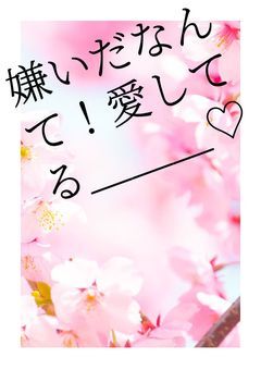 嫌いだなんて ! 愛してる ___♡