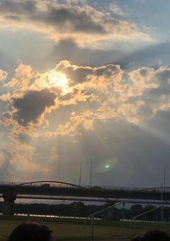 作品集