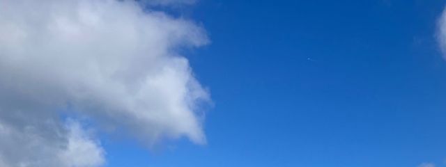 蝗🔪さんの壁紙画像