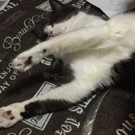 悠莉さんのアイコン画像