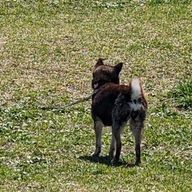 ちなつさんのアイコン画像