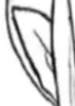 シニタイ少女と先生