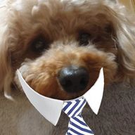 yesterdayさんのアイコン画像