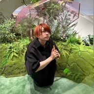 N🍄さんのアイコン画像