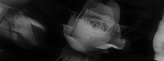 ゆなさんの壁紙画像