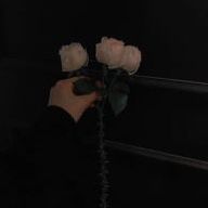 うき🐳💣さんのアイコン画像