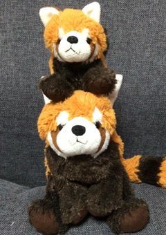 雑談部屋ｧｧｧｧｧ