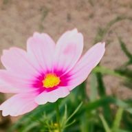 Mayさんのアイコン画像