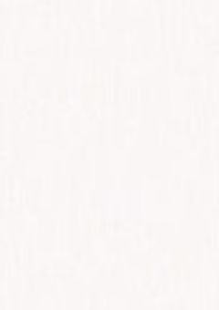 また桜の木の下で会いましょう