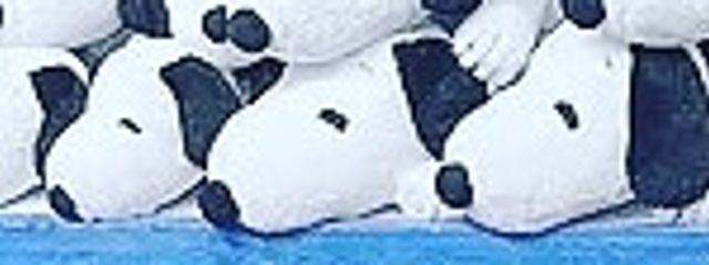 あおいさんの壁紙画像