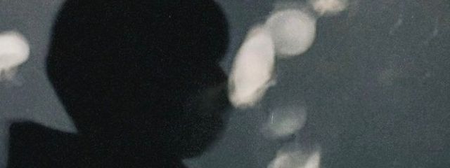 イチゴさんの壁紙画像