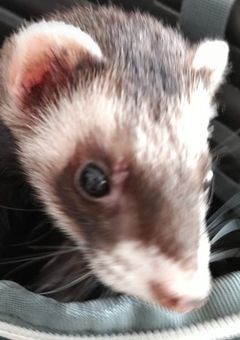 おいらの誕生日！！！