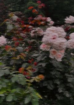 　押して引いてみた作戦開始 ！　