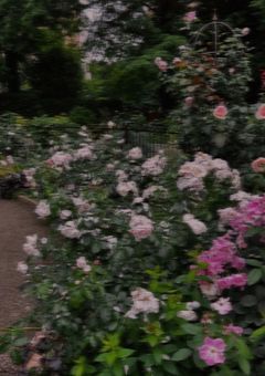 クリーニング店の娘 、今日も生きてます 。