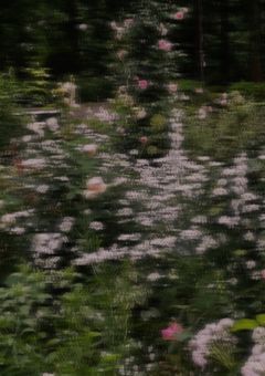 悪役を攻略して、病児保育になったら他の攻略対象も攻略しちゃった件。