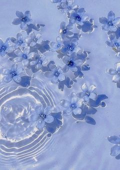 兄達がツンデレだった件【 wrwrd 】