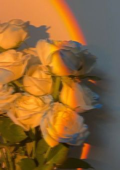 〝私の弟達はいわゆるツンデレらしいです。〟w r w r d