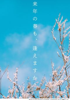 来年の春も、逢えますか?