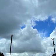 りん🐿️さんのアイコン画像