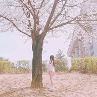 もも。さんのアイコン画像