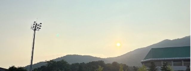 姫さんの壁紙画像