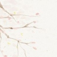 まるさんのアイコン画像